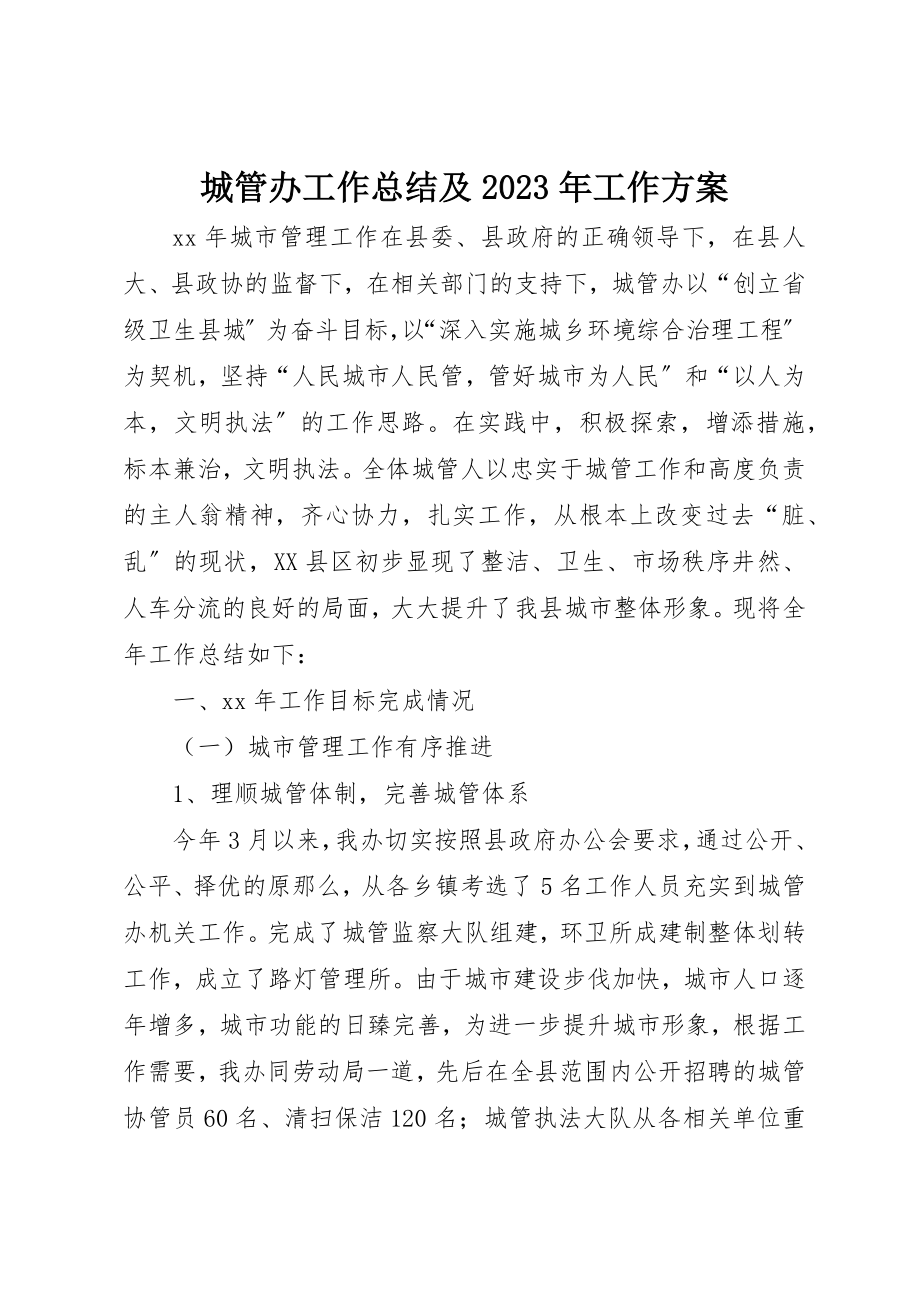 2023年城管办工作总结及某年工作计划.docx_第1页