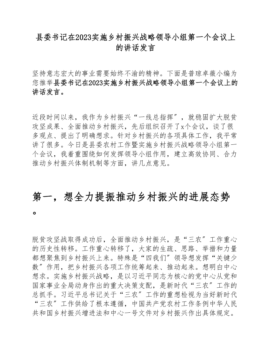 县委书记在2023年实施乡村振兴战略领导小组第一个会议上的讲话发言.docx_第1页