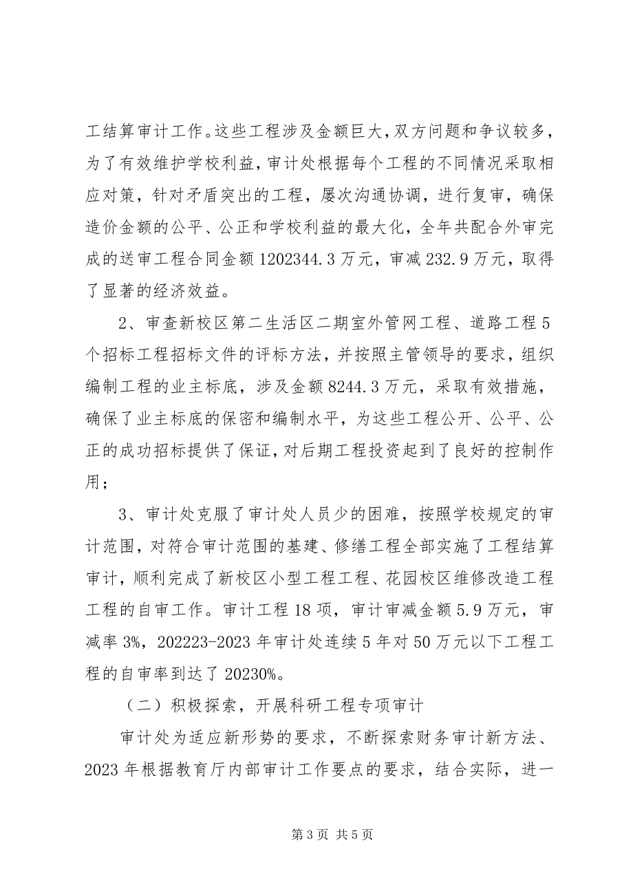 2023年学校行政审计处年度工作总结.docx_第3页