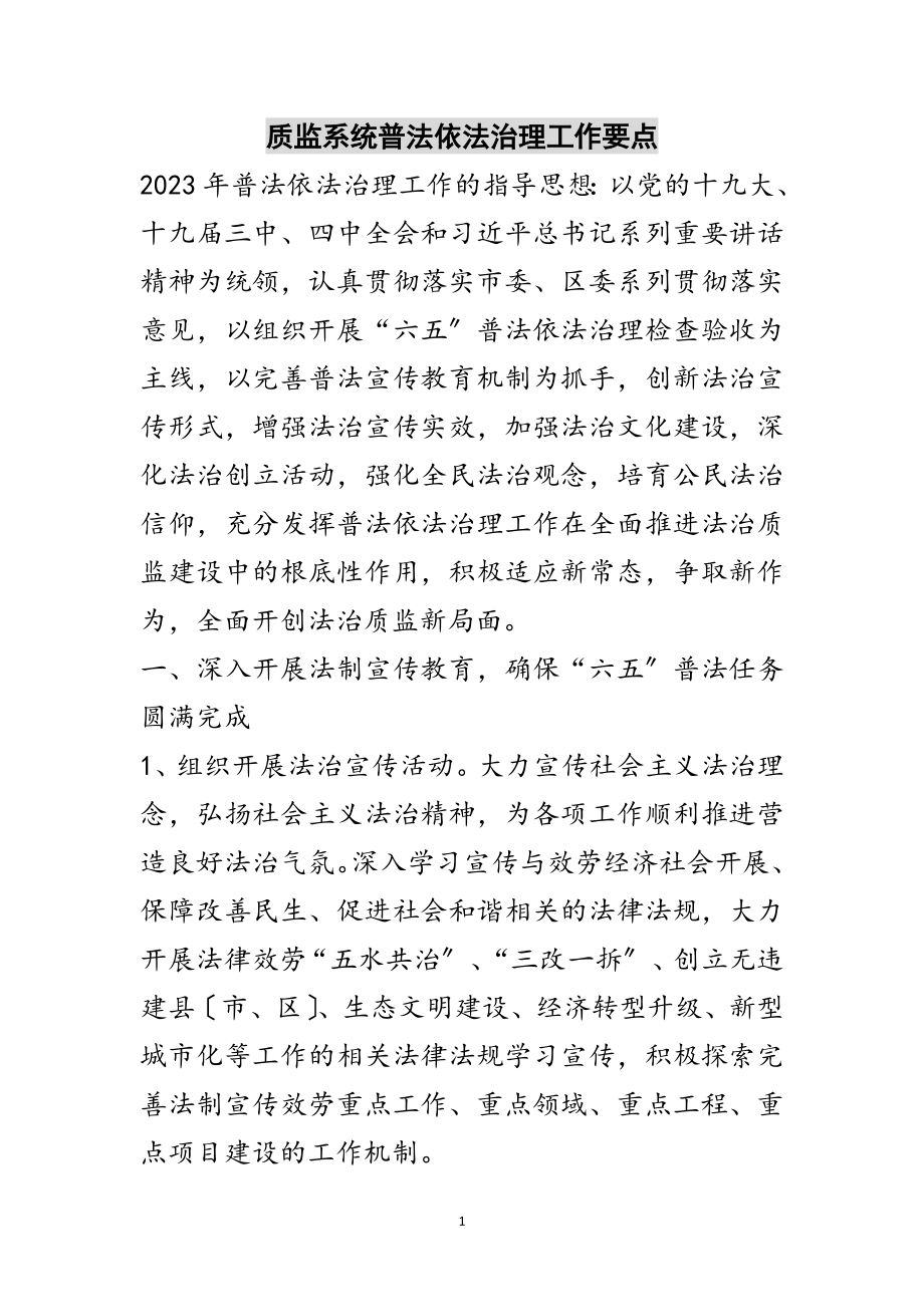 2023年质监系统普法依法治理工作要点范文.doc_第1页