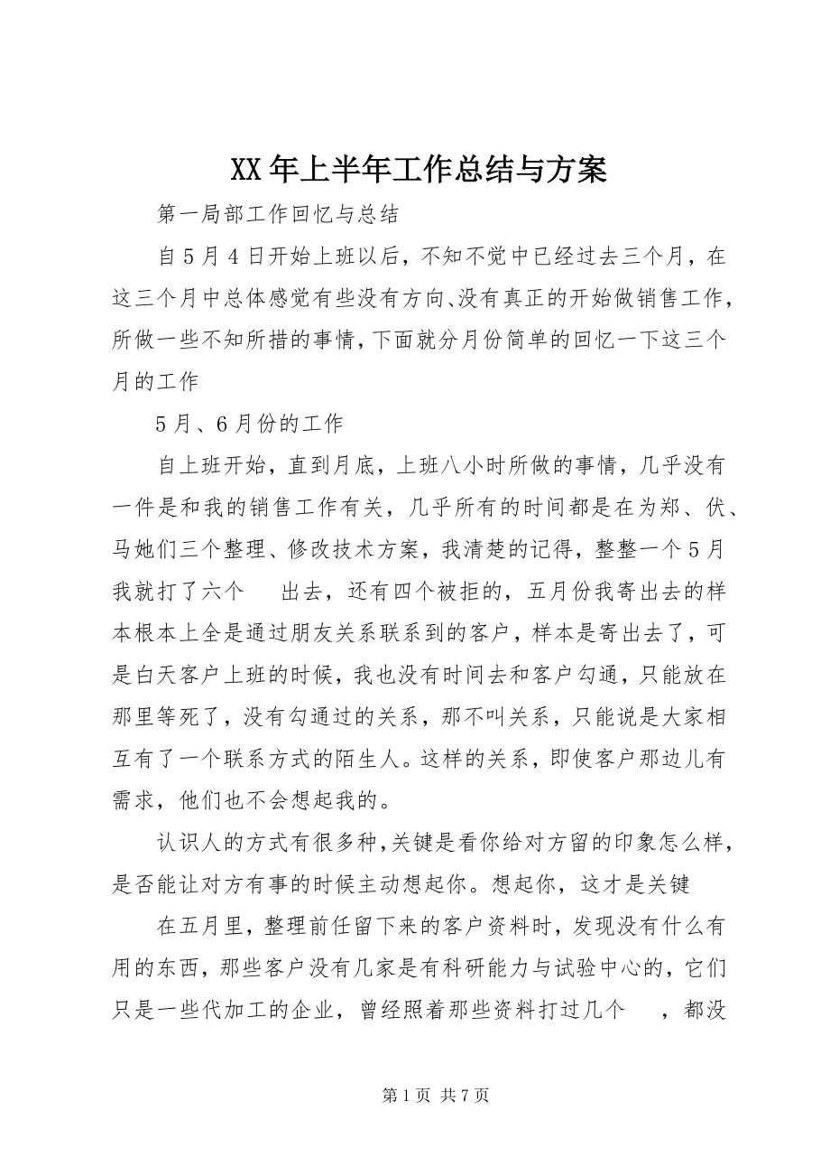 2023年上半年工作总结与计划.docx_第1页