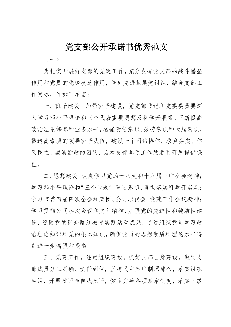 2023年党支部公开承诺书优秀.docx_第1页