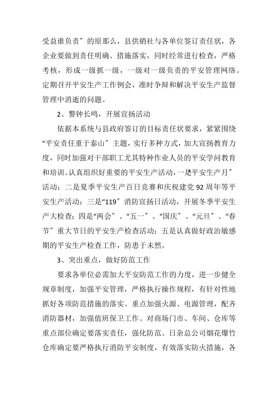 2023年商贸总公司安全生产工作计划.docx_第2页