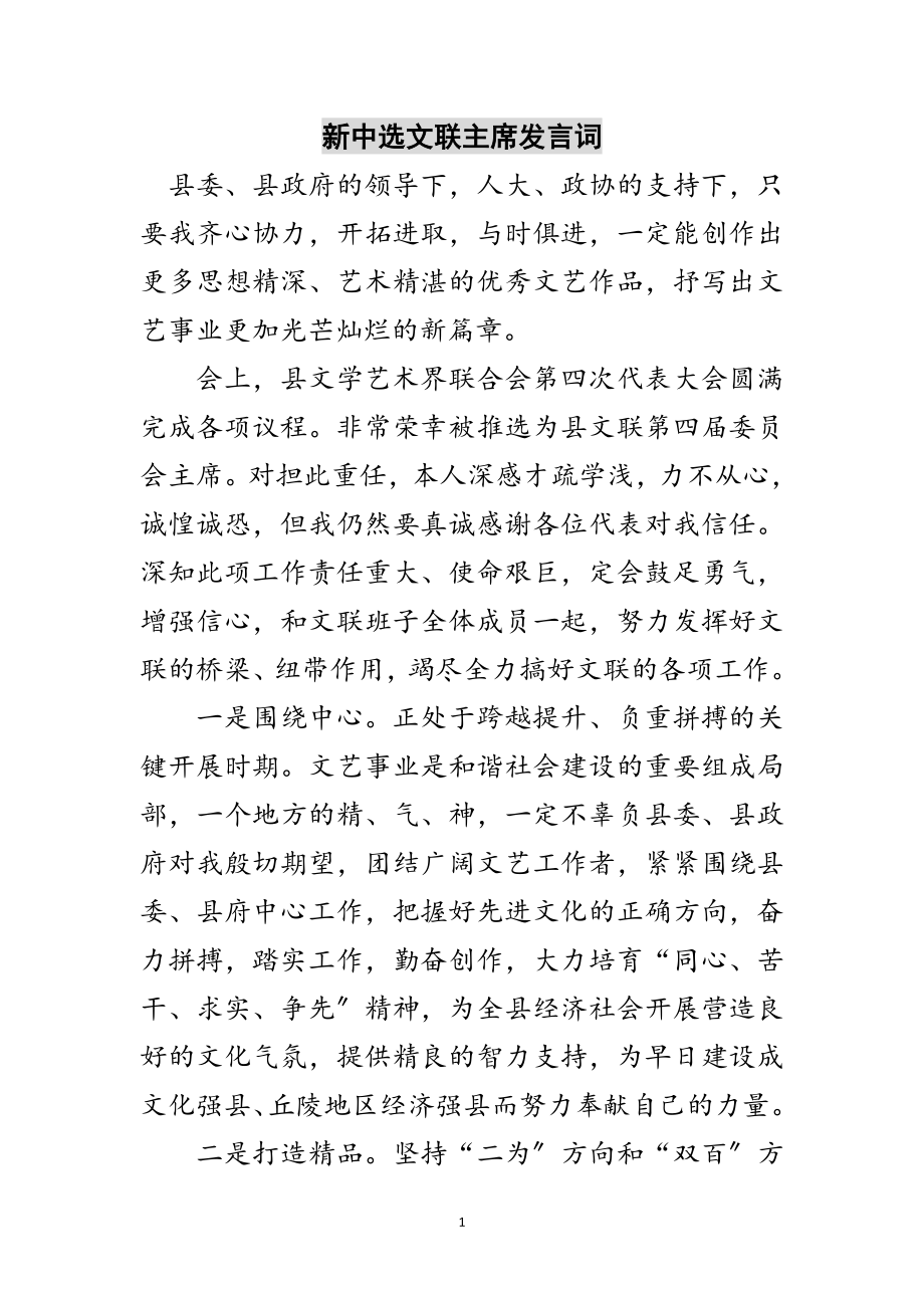 2023年新当选文联主席发言词范文.doc_第1页