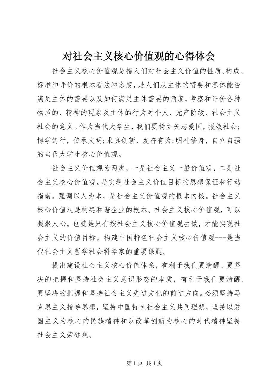 2023年对社会主义核心价值观的心得体会.docx_第1页