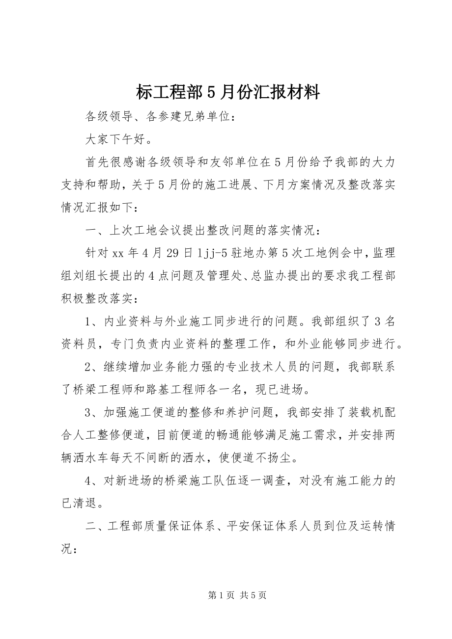 2023年标项目部5月份汇报材料新编.docx_第1页