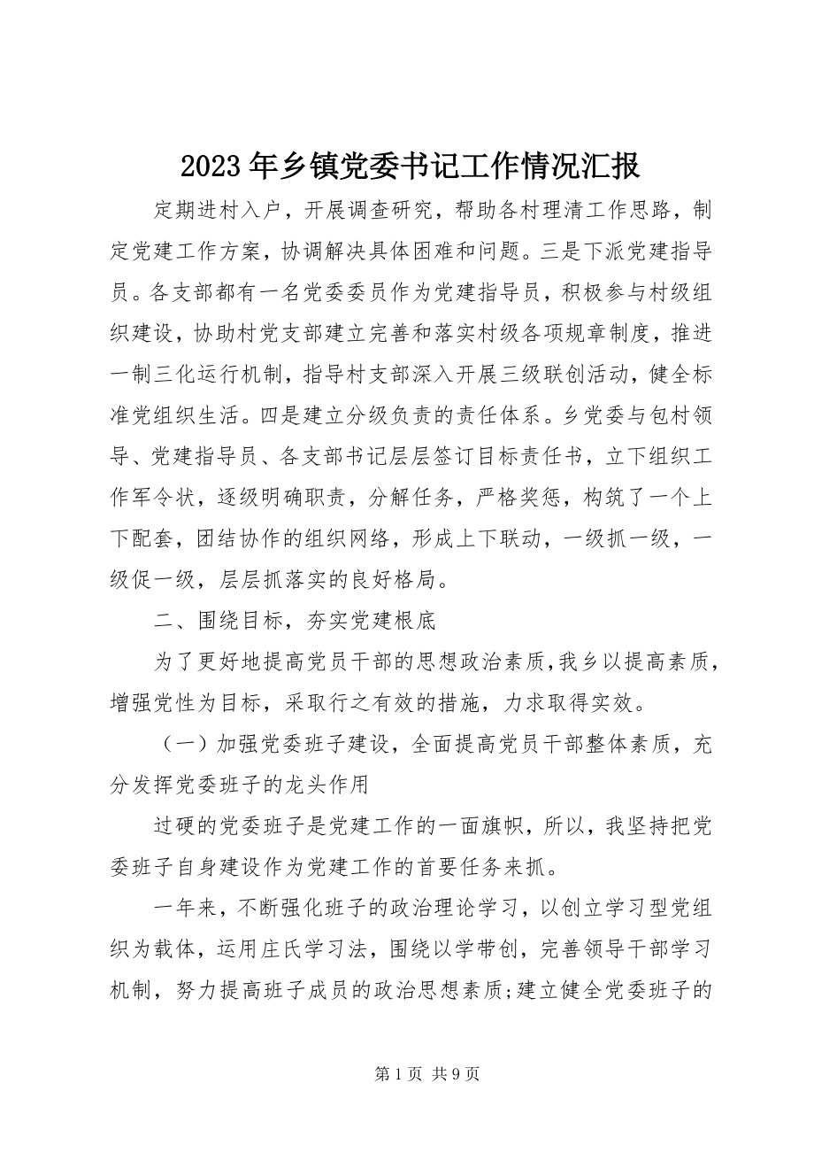 2023年乡镇党委书记工作情况汇报.docx_第1页