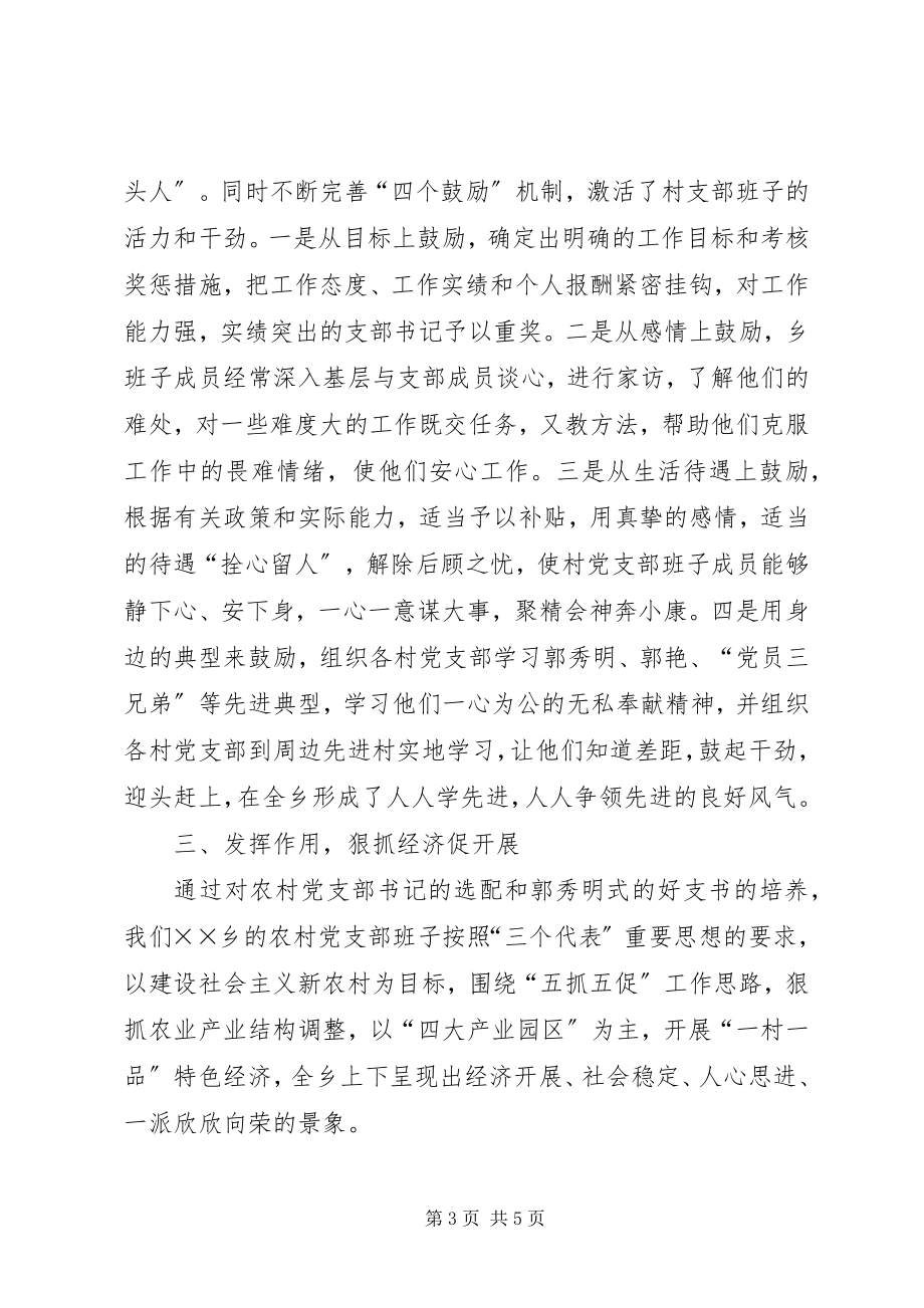 2023年学习郭秀明争当好支书情况汇报.docx_第3页