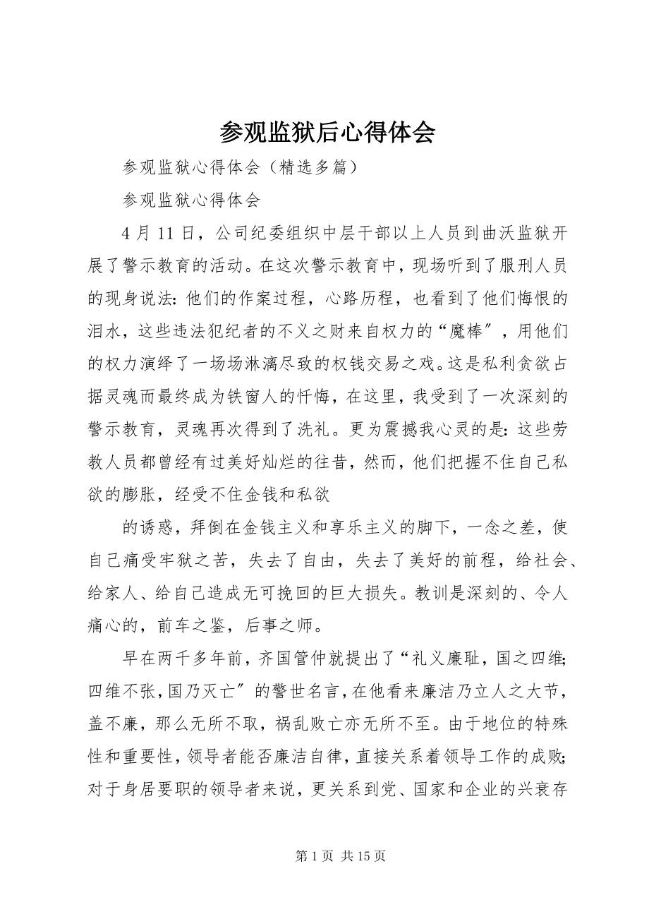 2023年参观监狱后心得体会新编.docx_第1页