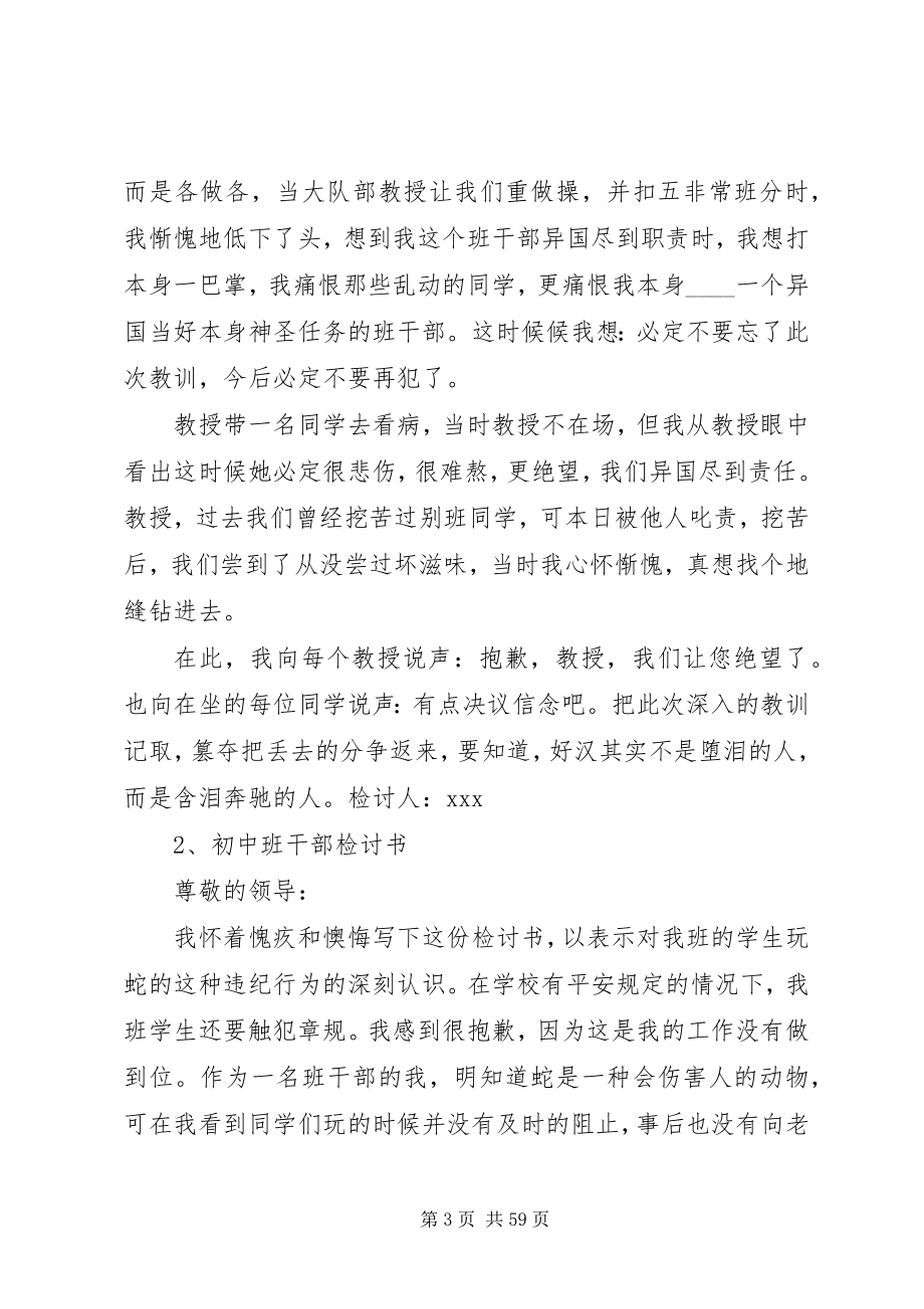 2023年课代表检讨书5篇.docx_第3页