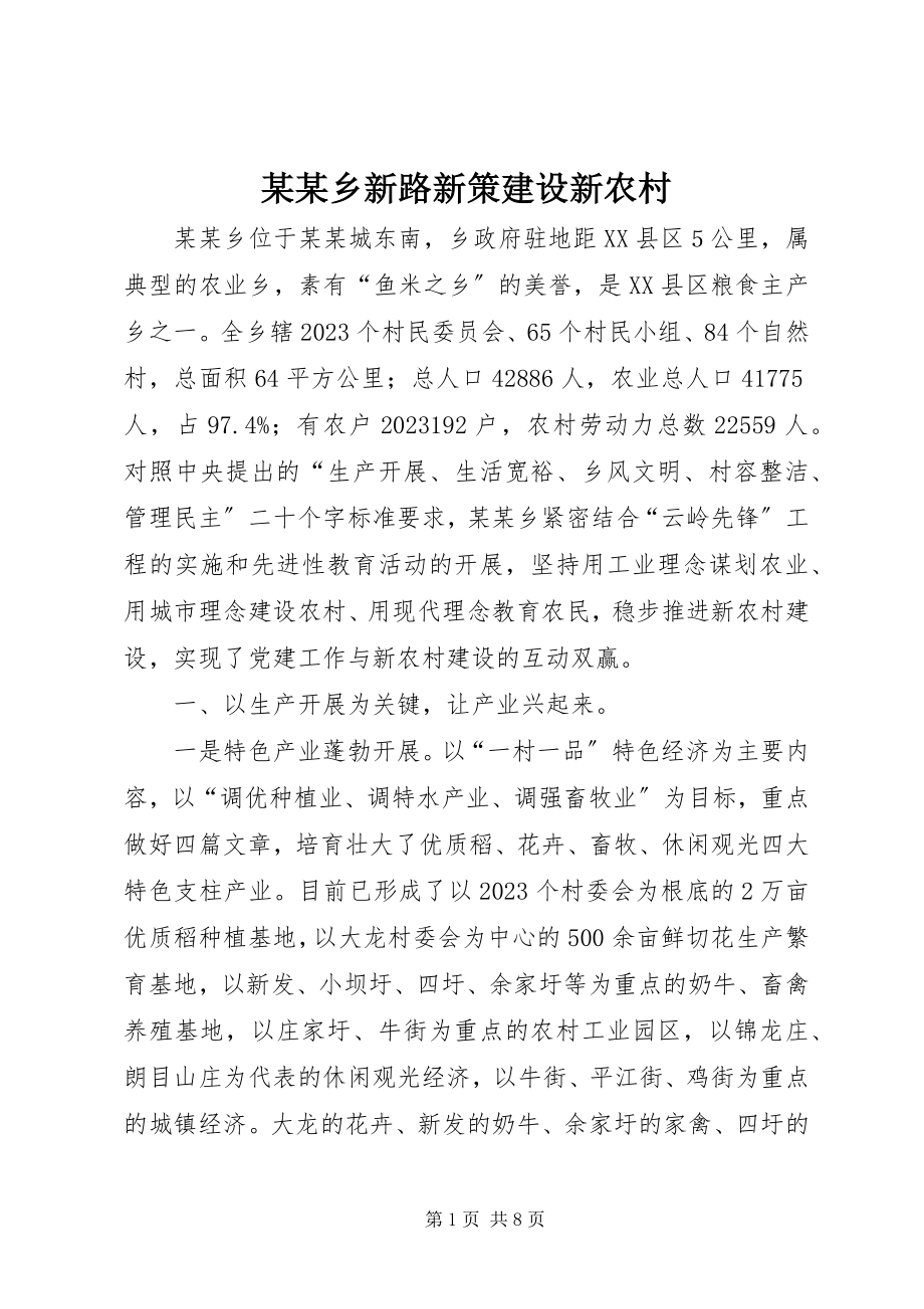 2023年某某乡新路新策建设新农村.docx_第1页