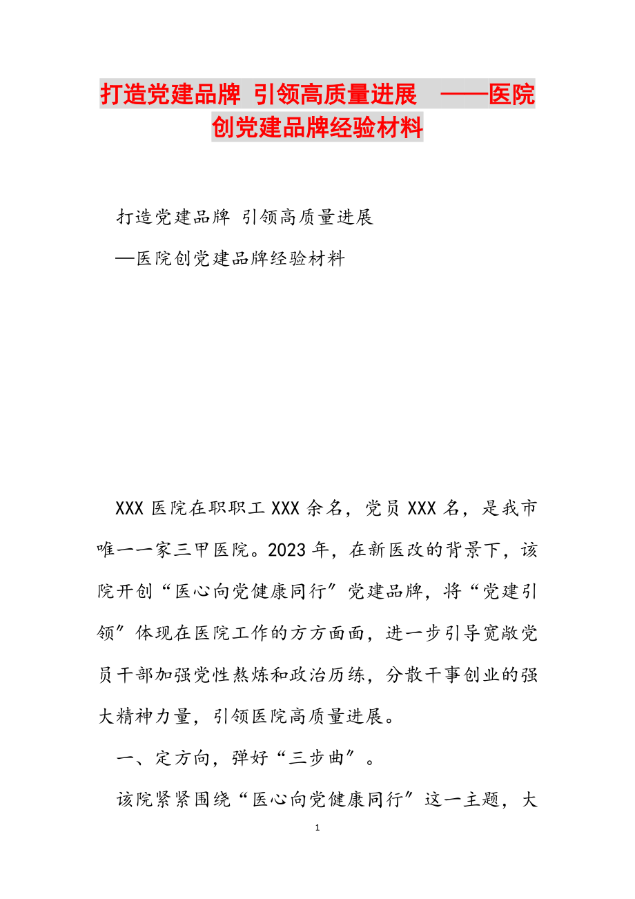 2023年打造党建品牌 引领高质量发展——医院创党建品牌经验材料.docx_第1页