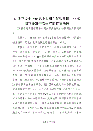 2023年XX省安全生产信息中心副主任张震国XX省烟花爆发安全生产监管物联网新编.docx