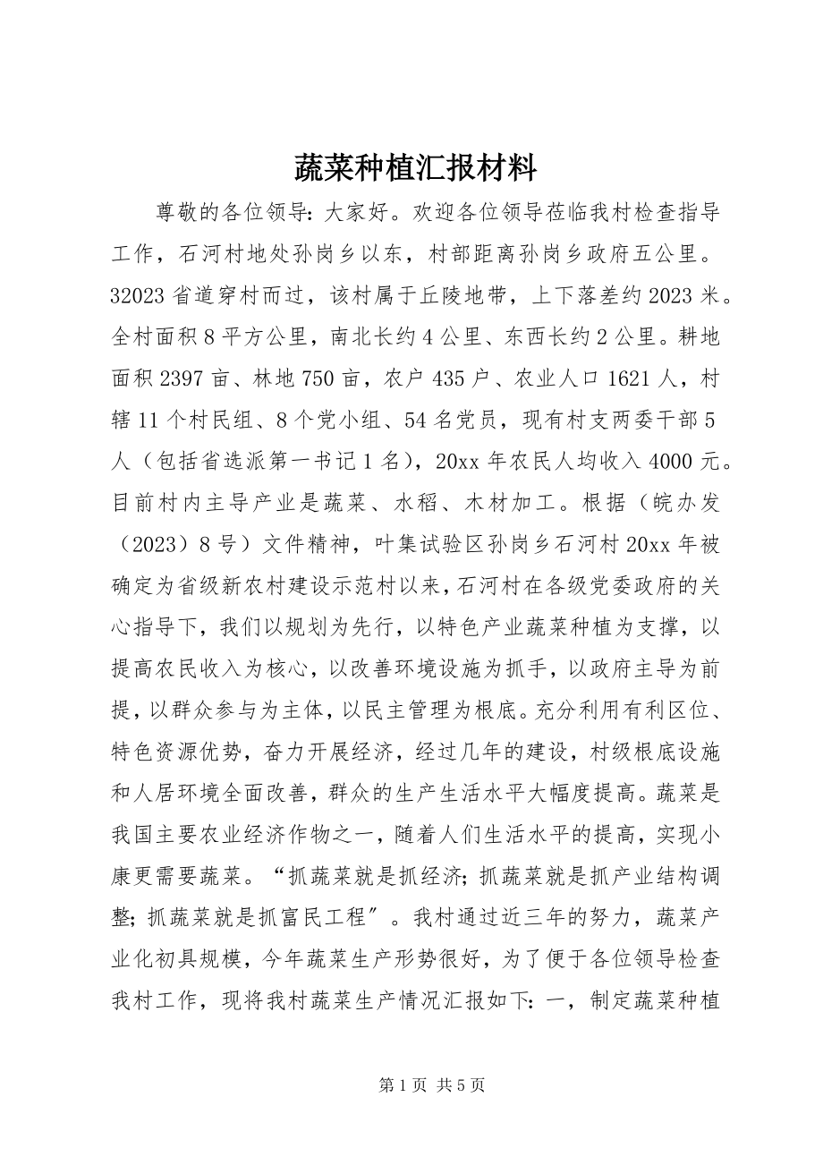 2023年蔬菜种植汇报材料.docx_第1页