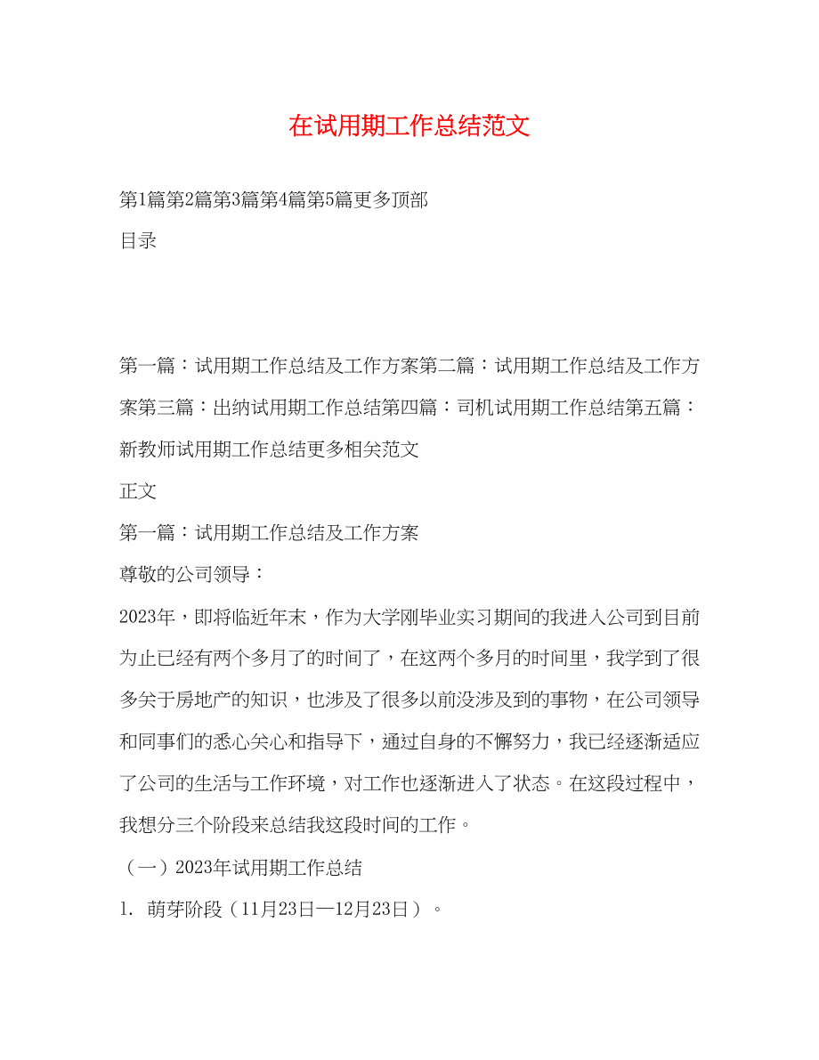 2023年在试用期工作总结.docx_第1页