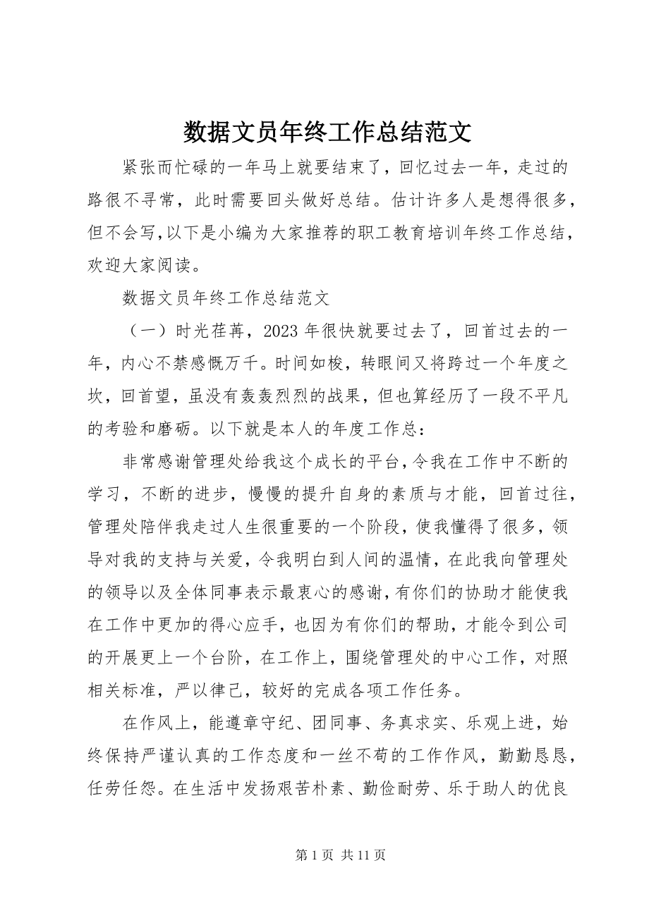 2023年数据文员年终工作总结.docx_第1页