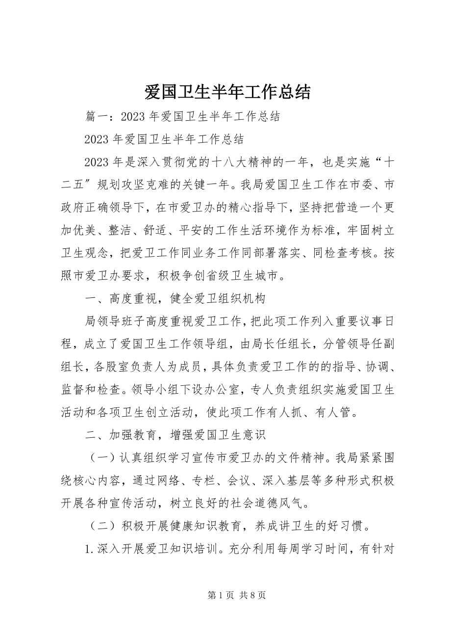 2023年爱国卫生半年工作总结新编.docx_第1页