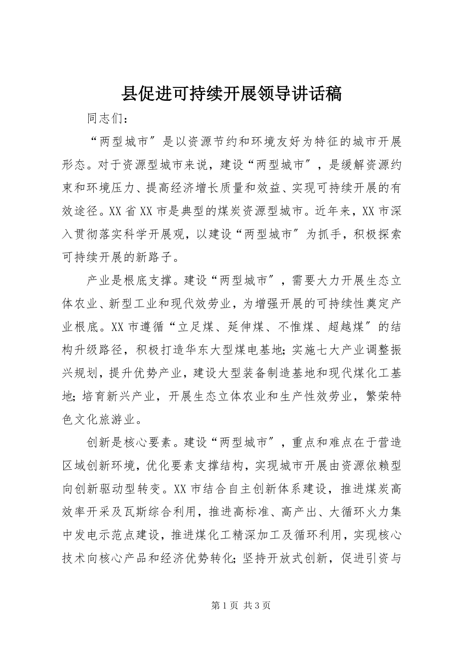 2023年县促进可持续发展领导致辞稿.docx_第1页