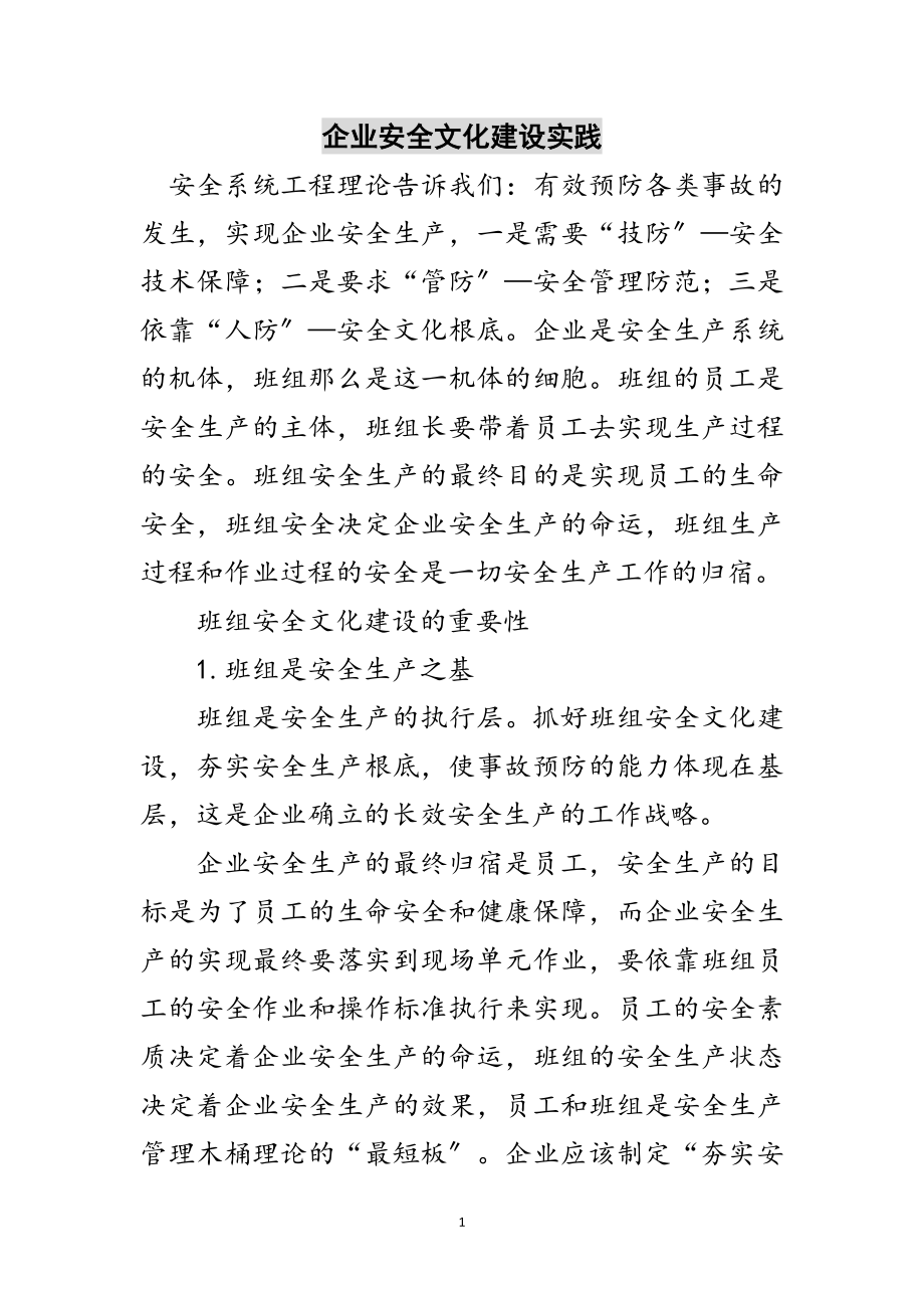 2023年企业安全文化建设实践范文.doc_第1页