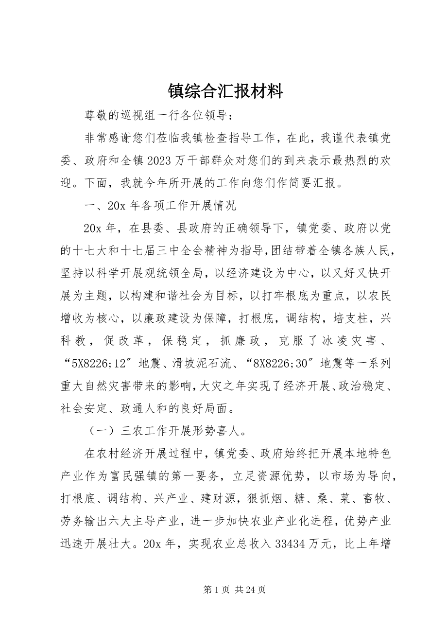 2023年镇综合汇报材料.docx_第1页