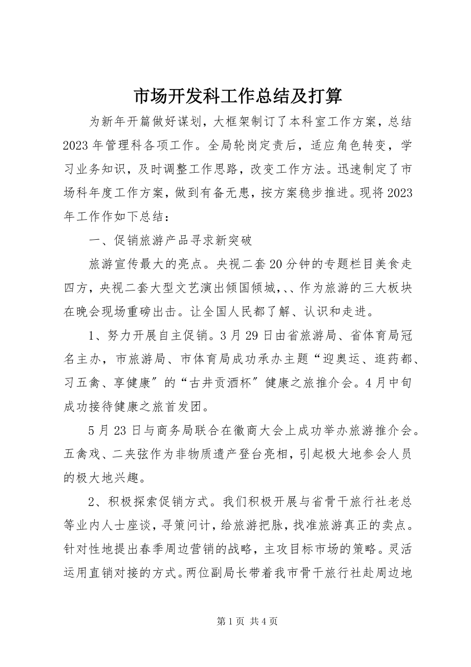 2023年市场开发科工作总结及打算.docx_第1页