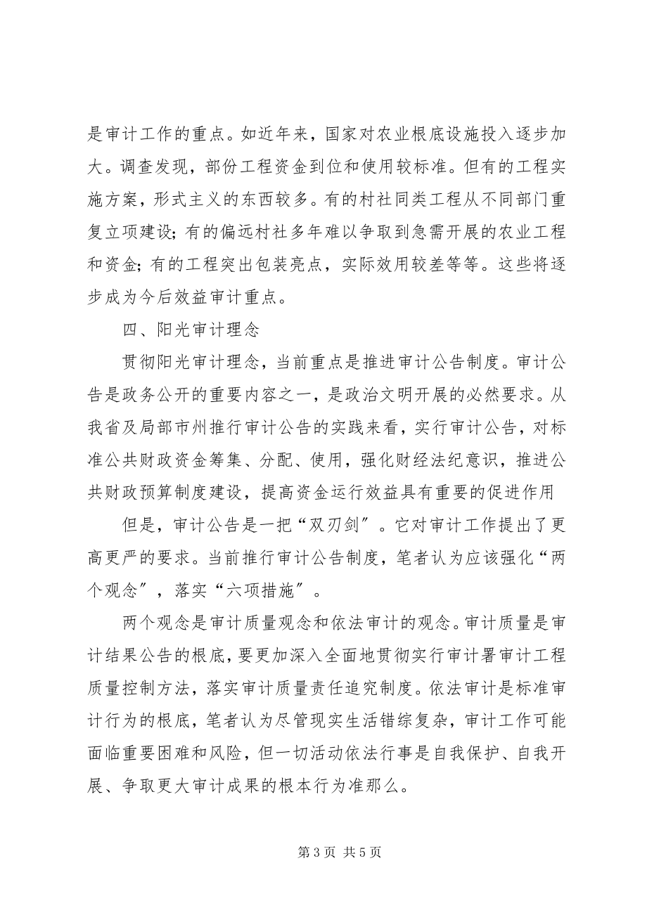 2023年更新当前审计理念的思考.docx_第3页