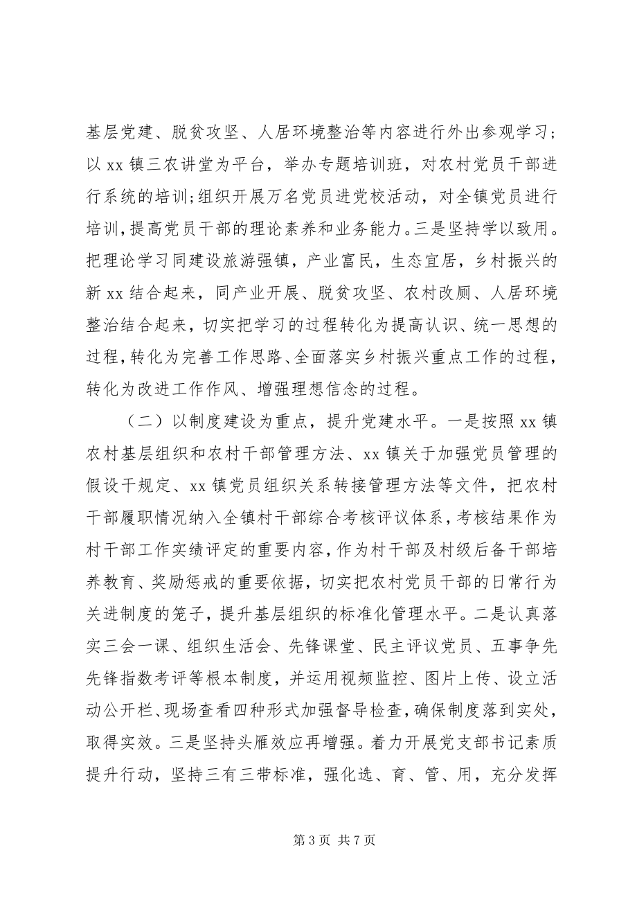 2023年乡镇组织及人才振兴的实施方案.docx_第3页