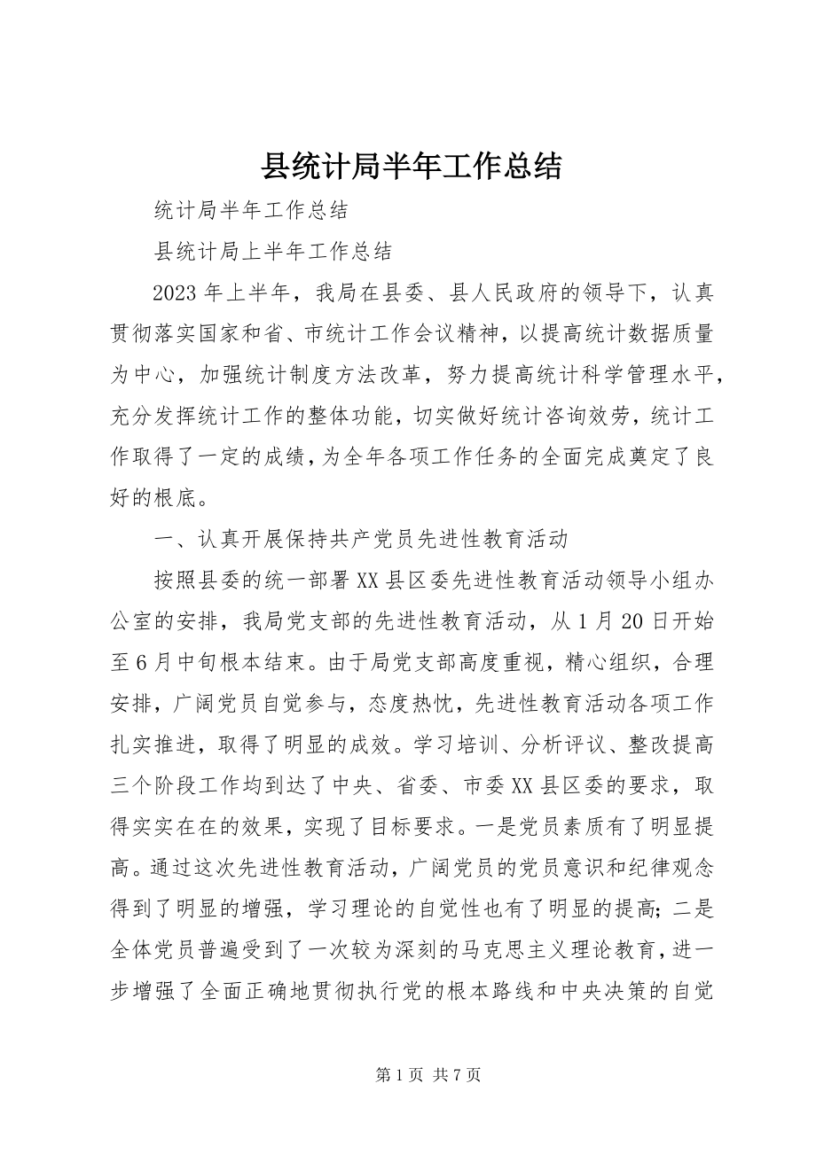 2023年县统计局半年工作总结.docx_第1页