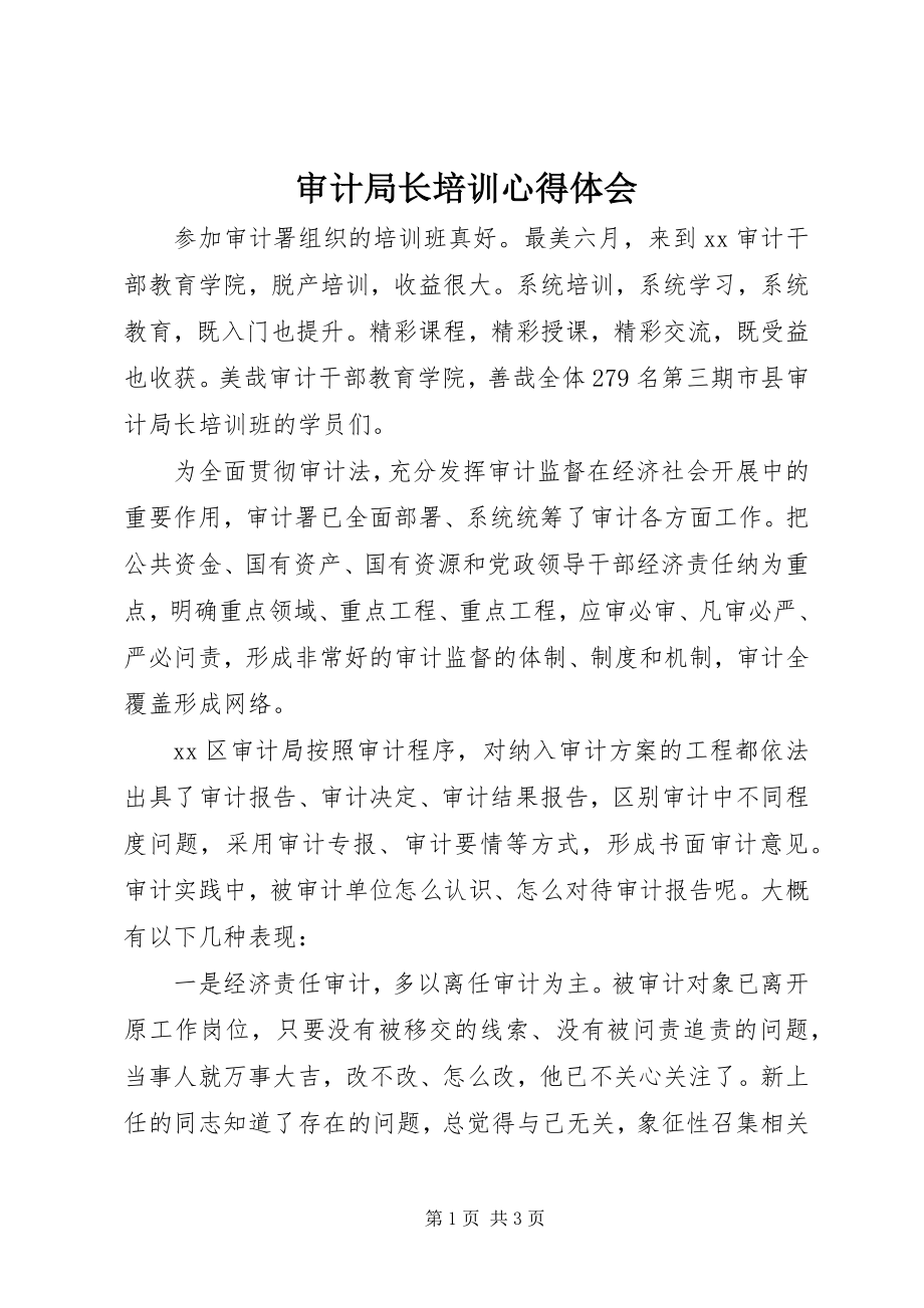 2023年审计局长培训心得体会.docx_第1页