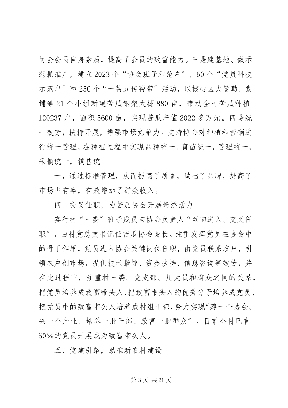 2023年支部带协会共同实现双赢.docx_第3页