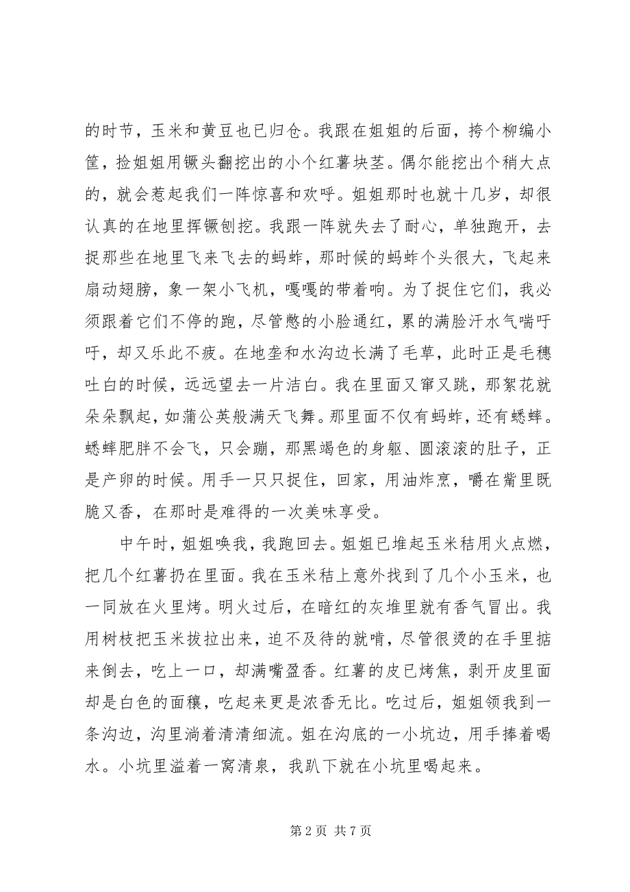 2023年花落斜阳处往事长忆散文.docx_第2页