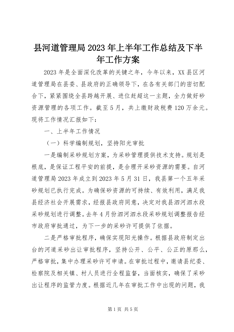 2023年县河道管理局上半年工作总结及下半年工作计划.docx_第1页