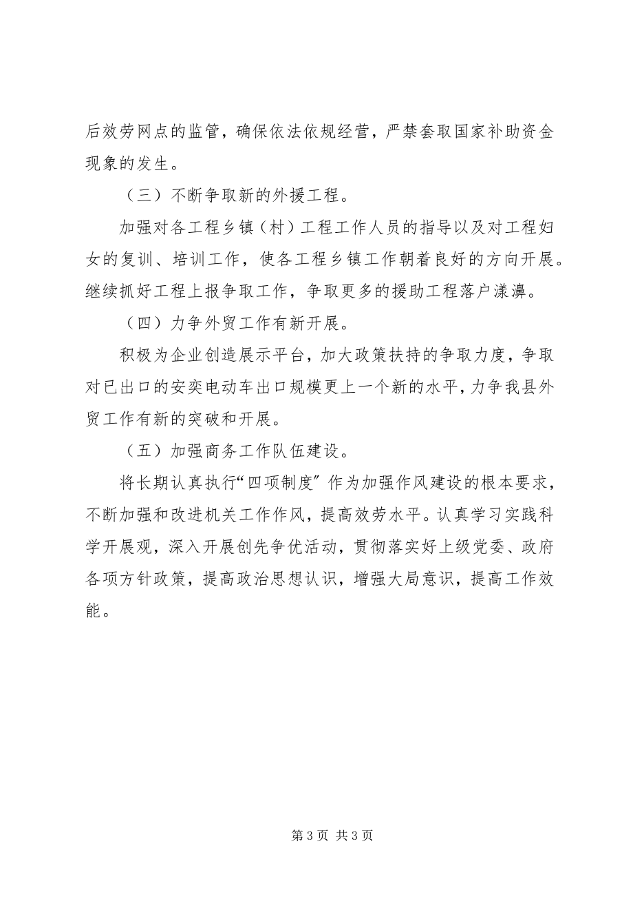 2023年县商务局年度工作计划.docx_第3页