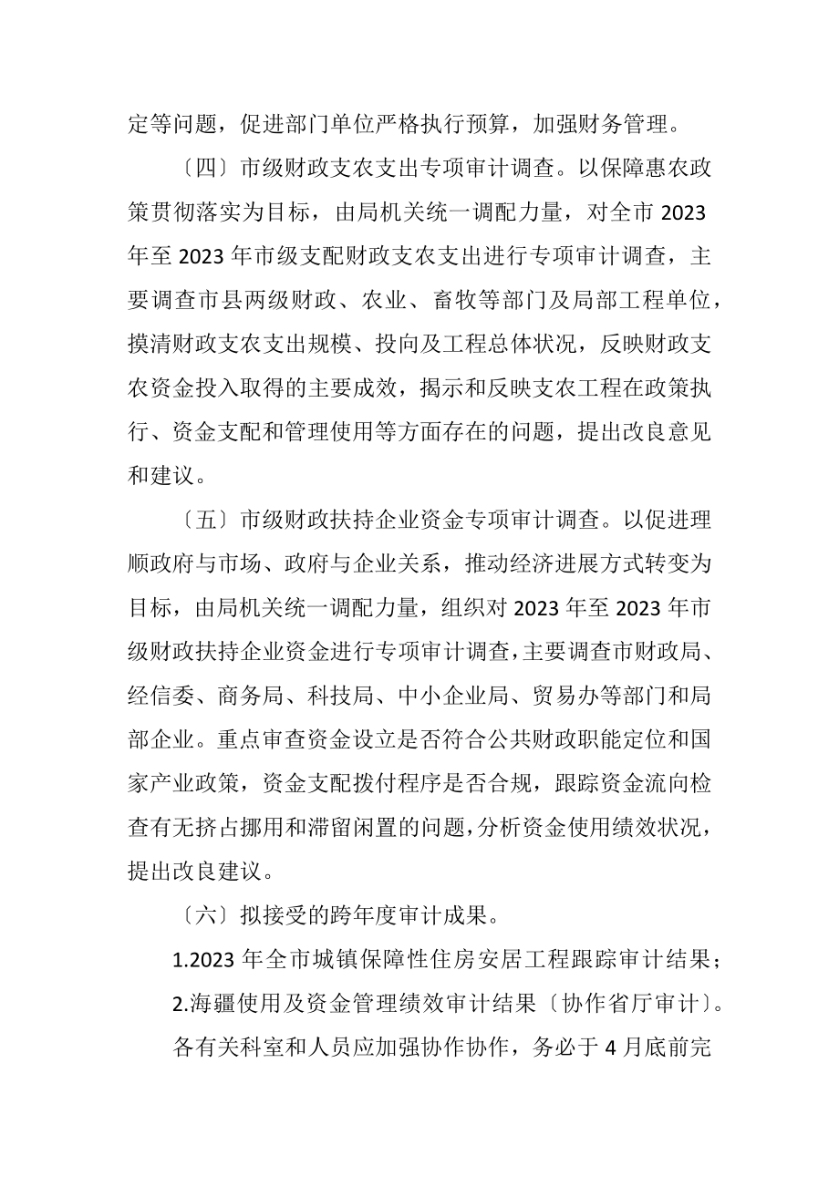 2023年预算执行与审计项目工作计划.docx_第3页