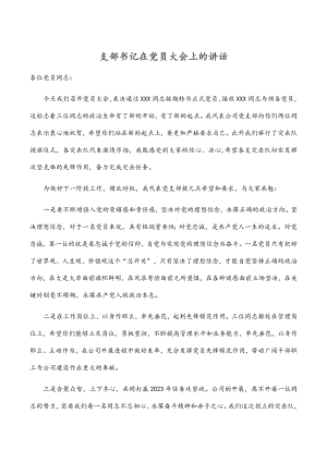 支部书记在党员大会上的讲话范文.docx