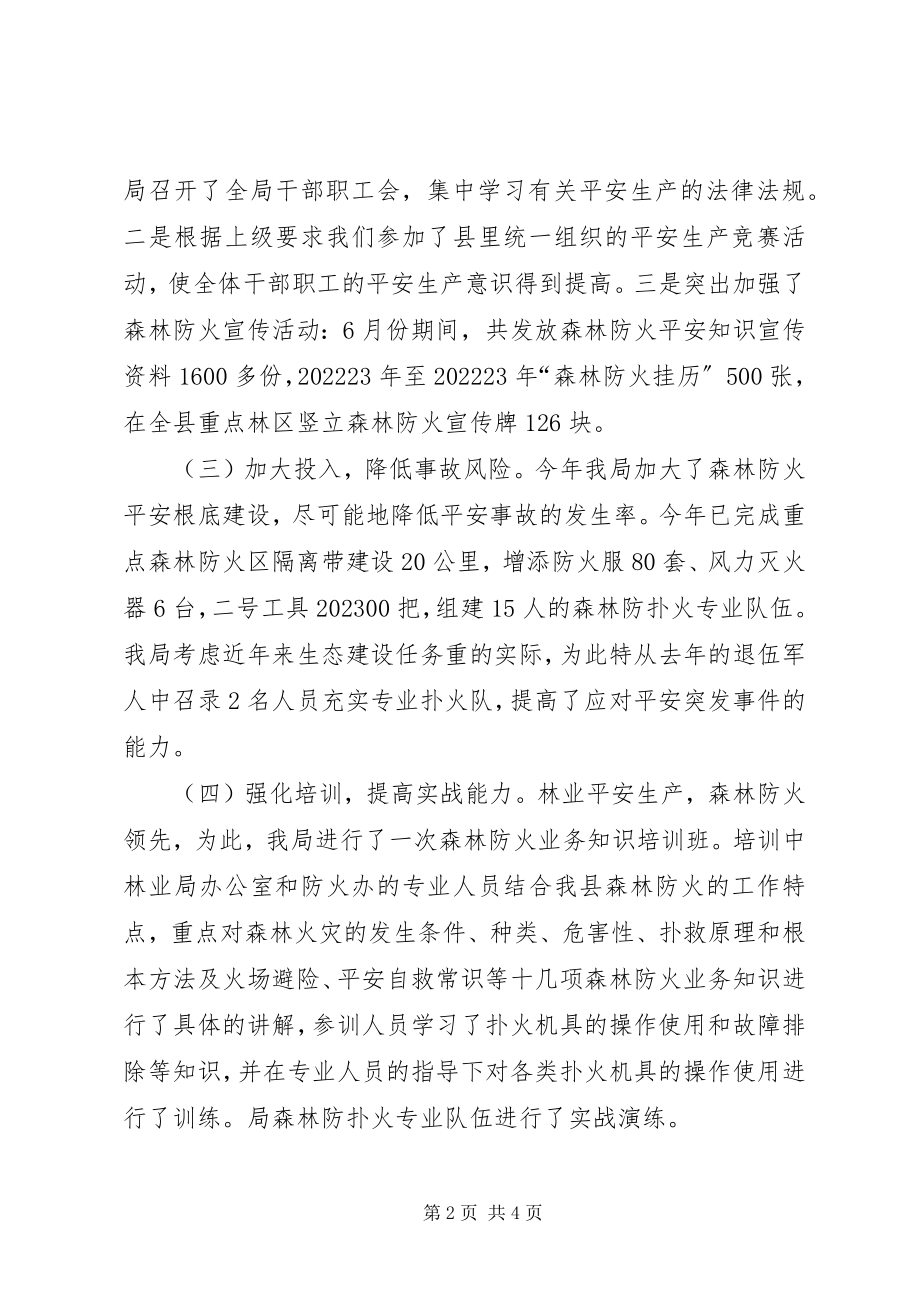 2023年林业部门安全生产终工作总结.docx_第2页