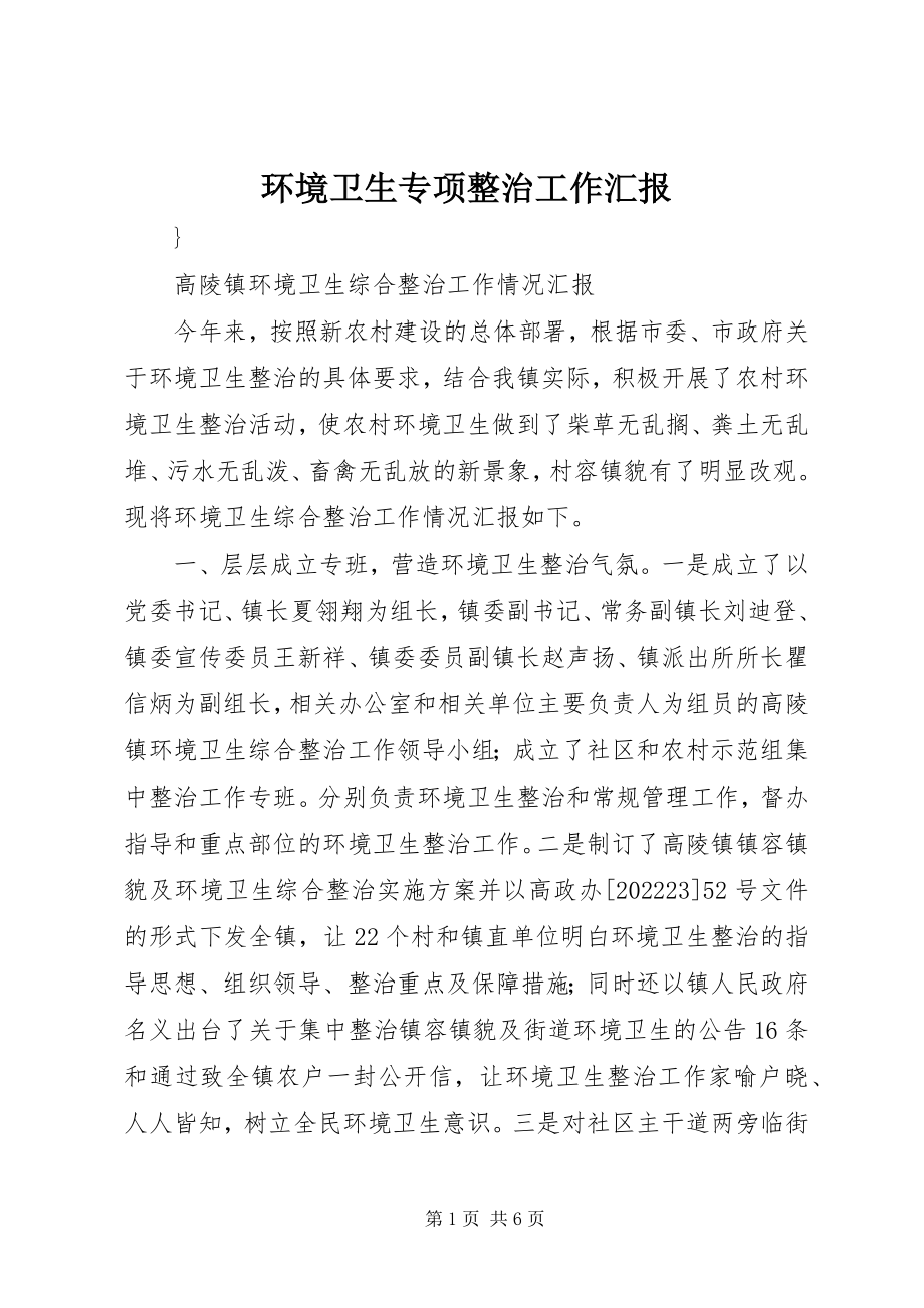 2023年环境卫生专项整治工作汇报.docx_第1页