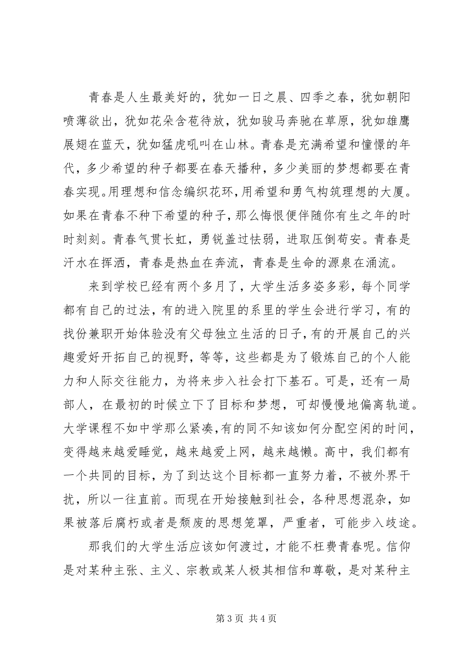 2023年坚定理想信念演讲稿与坚定理想信念的讲话材料.docx_第3页