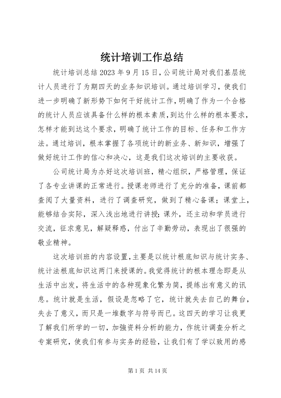 2023年统计培训工作总结.docx_第1页