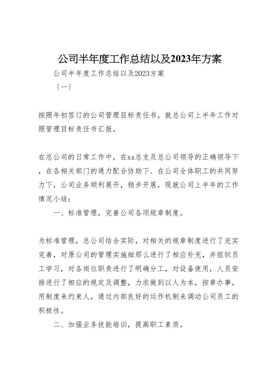 2023年公司半年度工作总结以及某年计划.doc_第1页