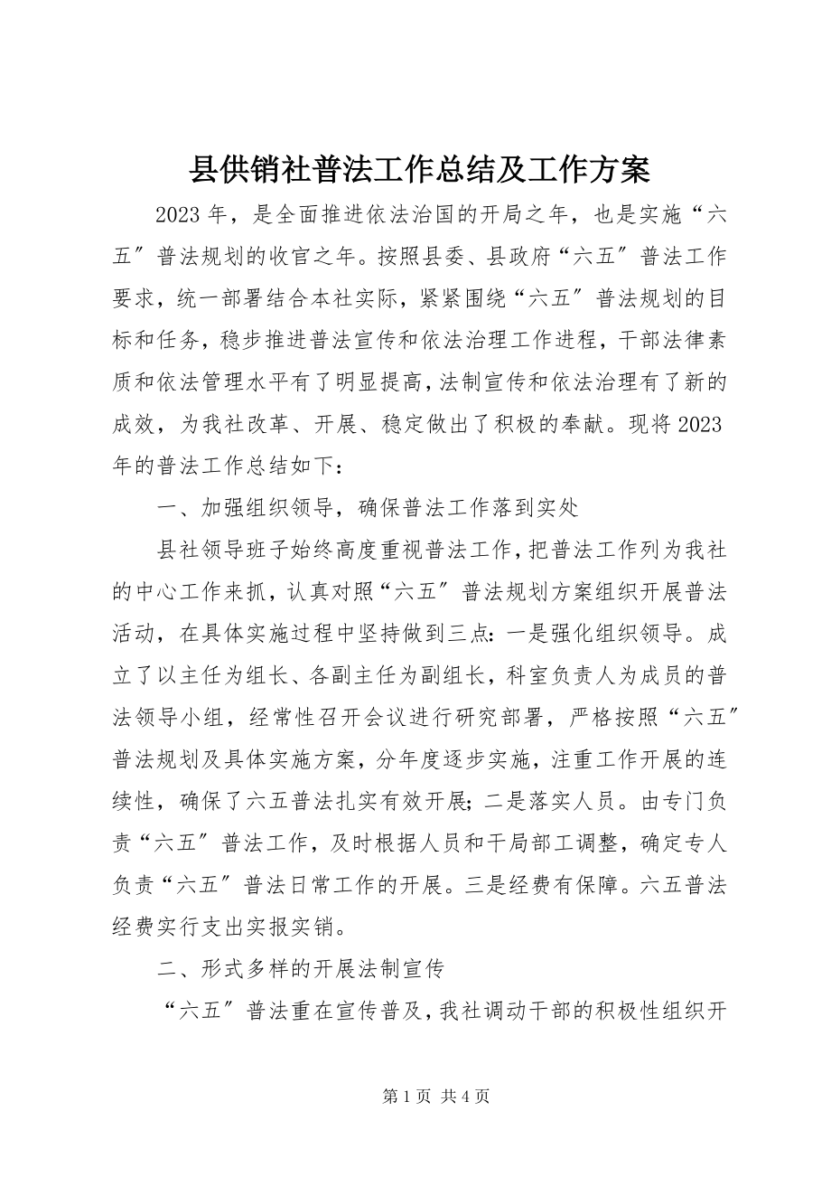 2023年县供销社普法工作总结及工作计划.docx_第1页