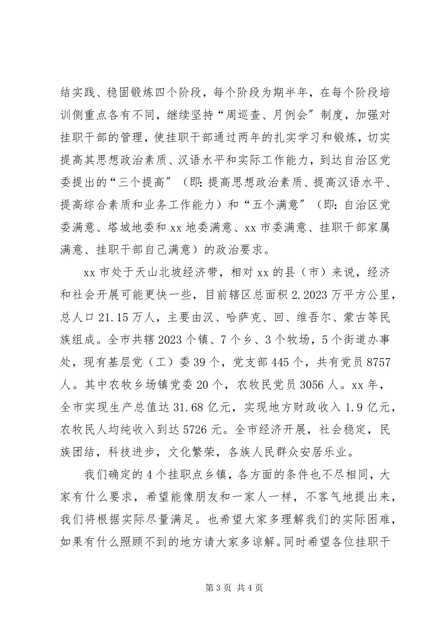 2023年异地挂职干部大会致辞.docx_第3页