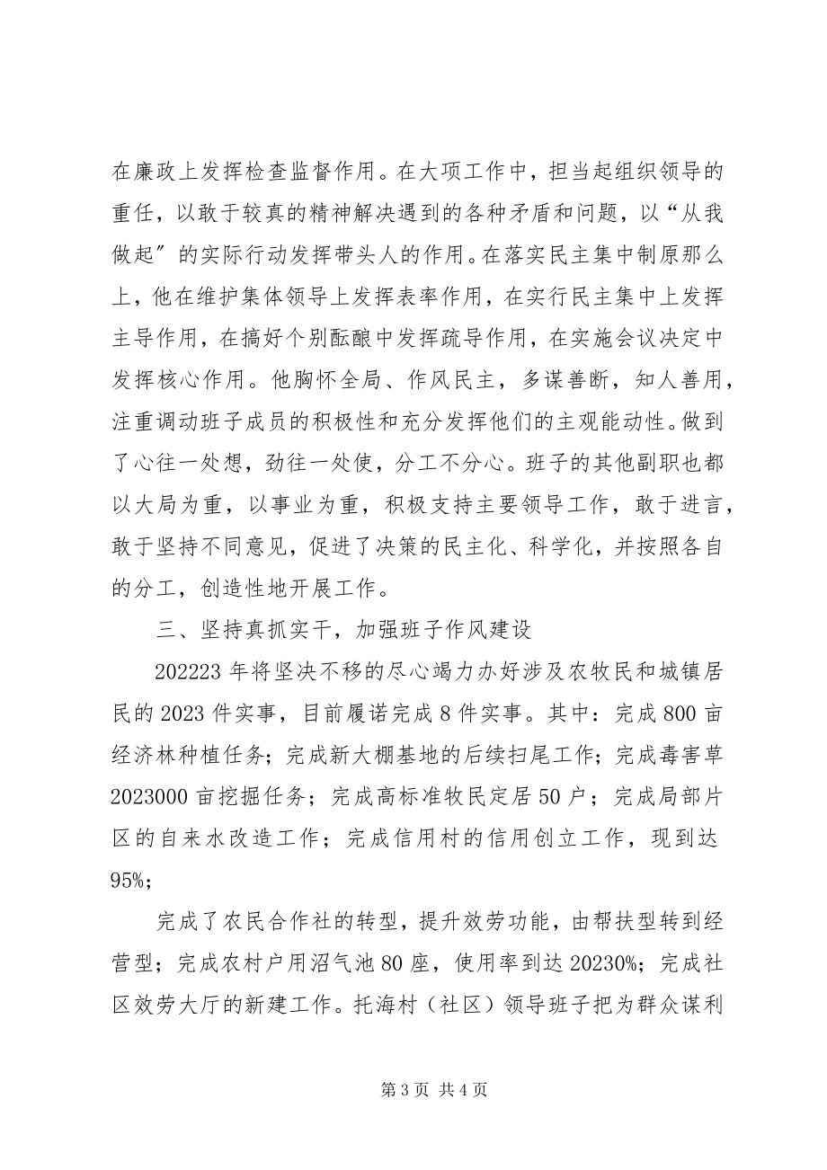 2023年班子建设工作总结新编.docx_第3页