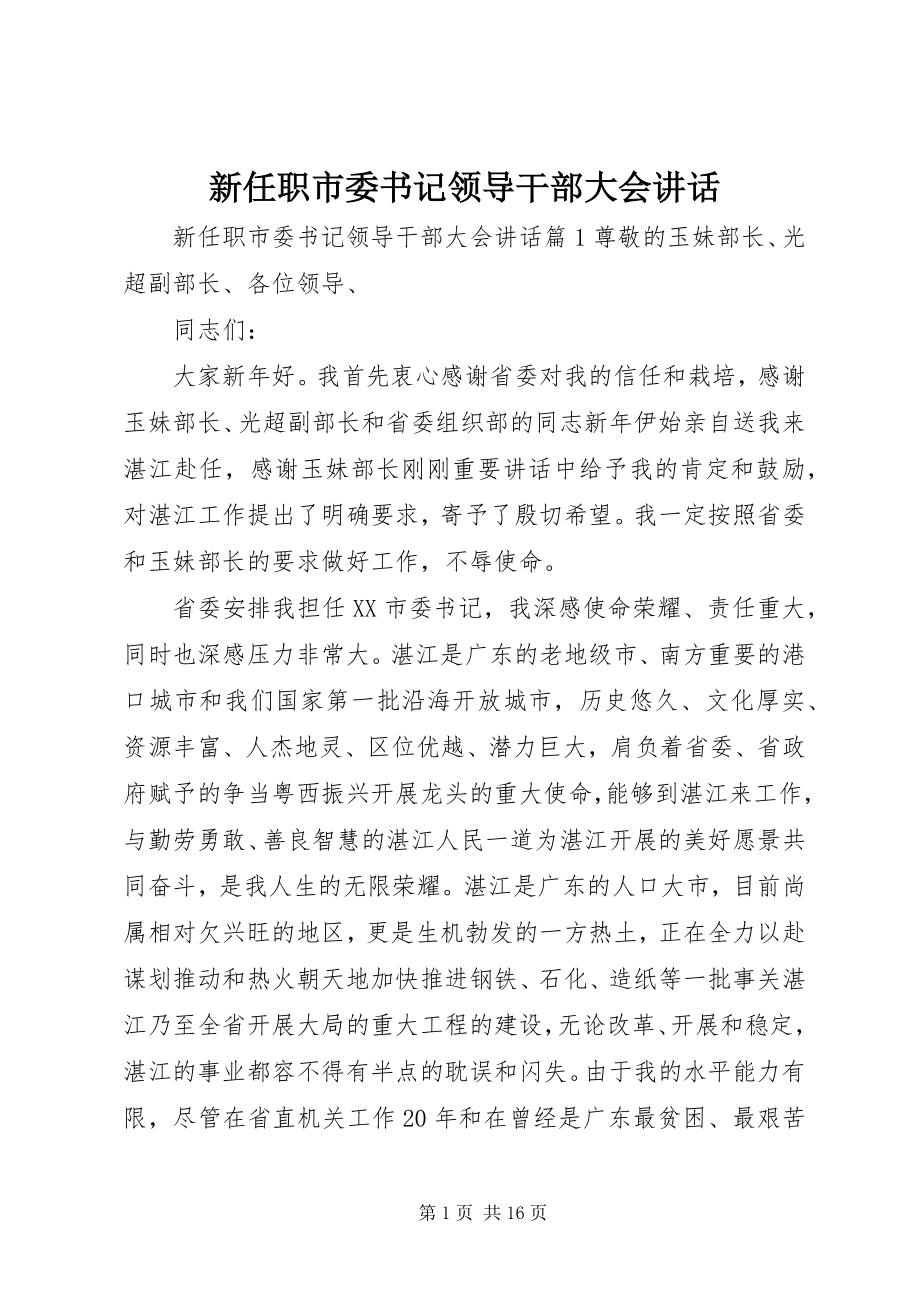 2023年新任职市委书记领导干部大会致辞.docx_第1页