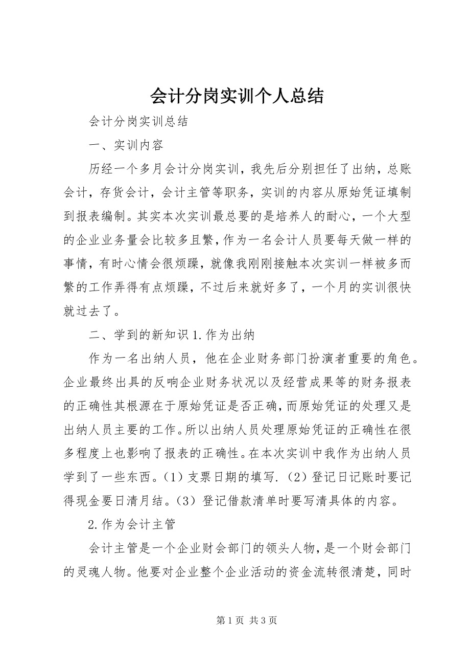 2023年会计分岗实训个人总结.docx_第1页