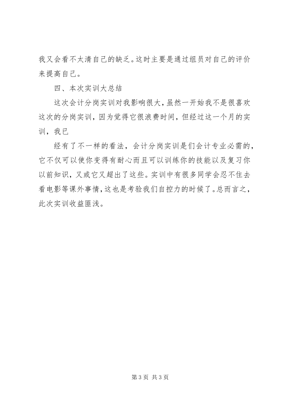 2023年会计分岗实训个人总结.docx_第3页