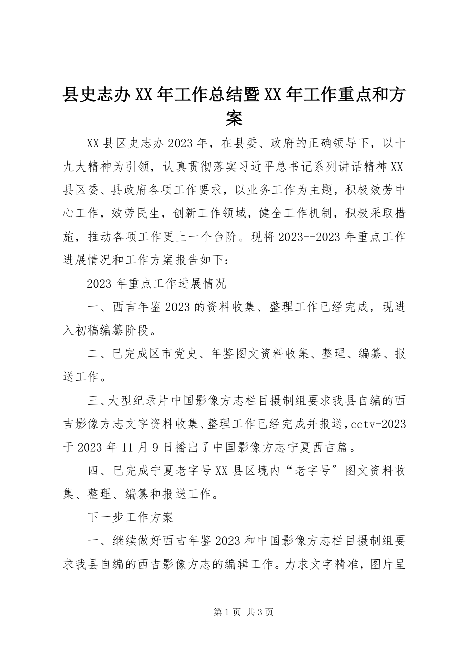 2023年县史志办工作总结暨工作重点和计划.docx_第1页