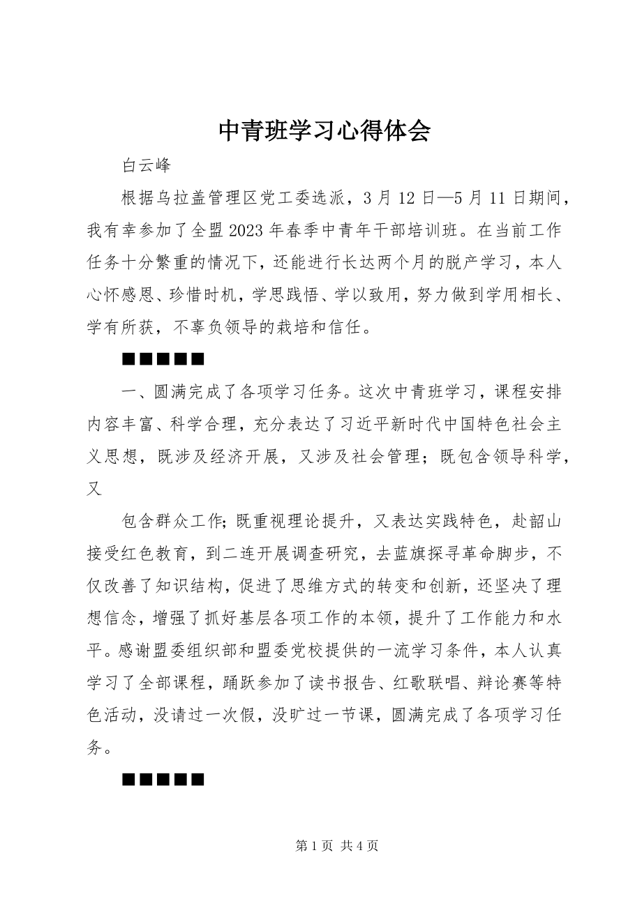 2023年中青班学习心得体会.docx_第1页