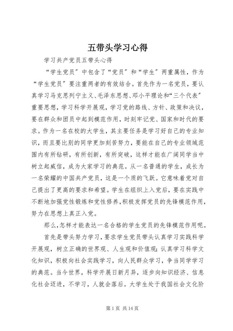 2023年五带头学习心得.docx_第1页