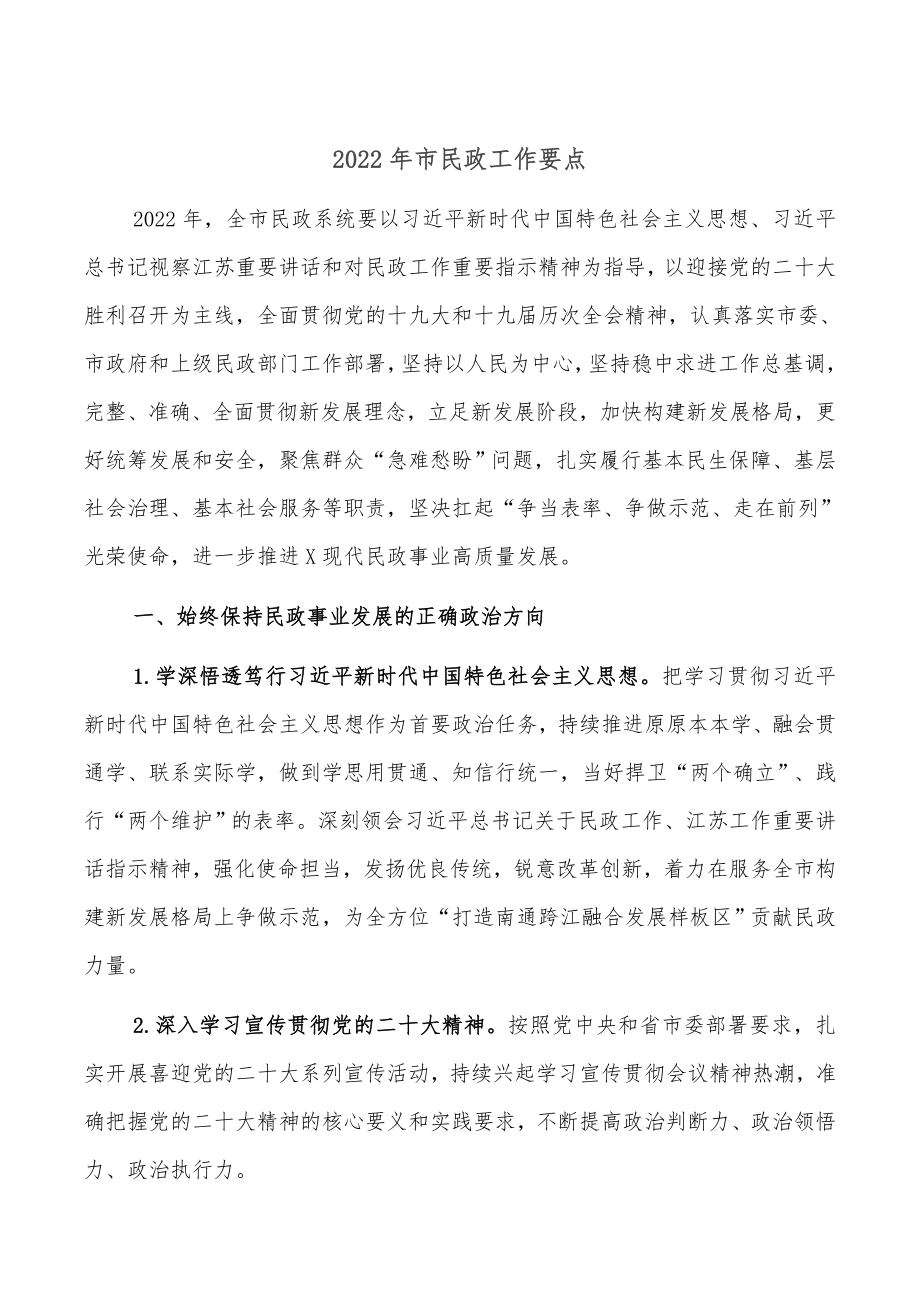 2022年市民政工作要点.docx_第1页